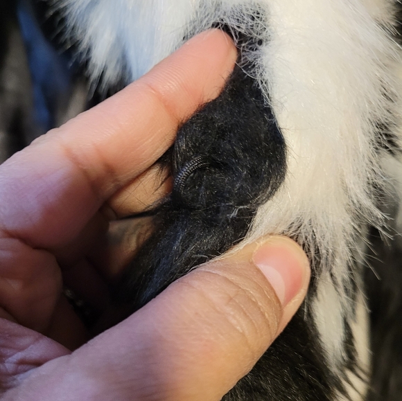 New Dorthy Perkins faux fur coat with side pockets. US 14 - Picture 3 of 4
